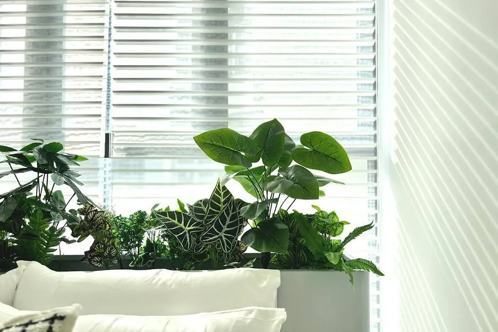 Apartament Dooga Ins-Secret Garden Seaview Johor Bahru 0*,  Malezja